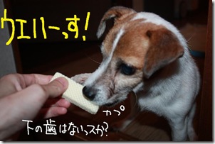 今日カズ０９１１１７　２