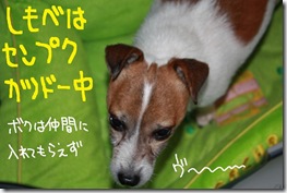 今日カズ０９１１１９　１