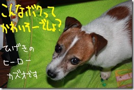 今日カズ０９１１１９　２