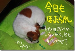 今日カズ０９１１２０　１