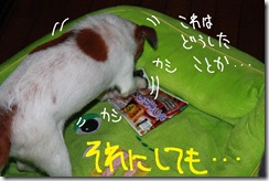 今日カズ０９１１２０　４