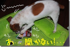 今日カズ０９１１２０　５