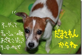 今日カズ０９１１２１　２