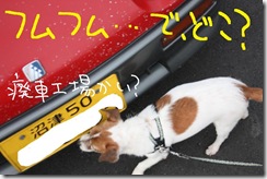 今日カズ０９１１２４　１