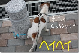 今日カズ０９１１２４　２