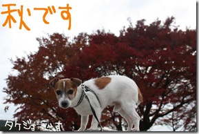 今日カズ０９１１２４　４
