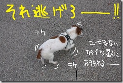 今日カズ０９１１２４　５