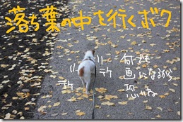 今日カズ０９１１２４　８