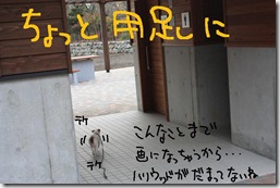 今日カズ０９１１２４　９
