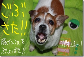 今日カズ０９１１２６　１