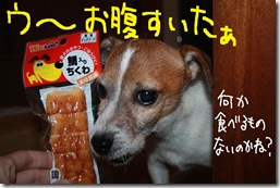 今日カズ０９１１２６　２