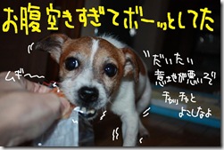今日カズ０９１１２６　３