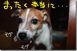 今日カズ０９１１２６　４