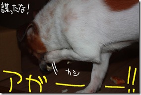 今日カズ０９１１２６　５