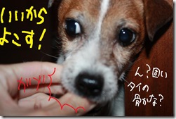 今日カズ０９１１２６　６
