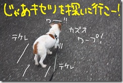 今日カズ０９１１２７　５