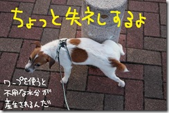 今日カズ０９１１２７　７