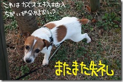 今日カズ０９１１２７　８