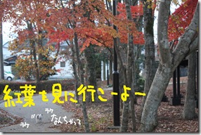 今日カズ０９１１２７　１０