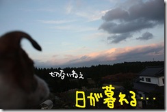 今日カズ０９１１２７　１２