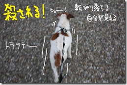 今日カズ０９１１２７　１５