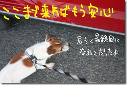 今日カズ０９１１２７　１６