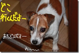 今日カズ０９１１２８　２