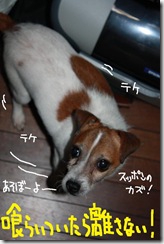 今日カズ０９１１２８　３