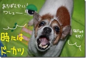 今日カズ０９１１２８　４