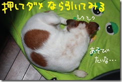 今日カズ０９１１２８　５