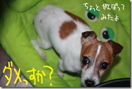 今日カズ０９１１２８　６