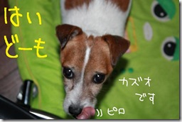 今日カズ０９１１２９　１