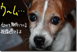 今日カズ０９１１２９　４
