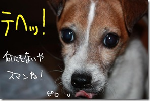 今日カズ０９１１２９　５