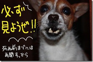 今日カズ０９１１３０　３