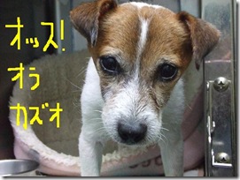 週カズ０９１２０１　１