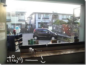 週カズ０９１２０８　１