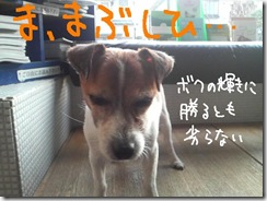 週カズ０９１２０８　２