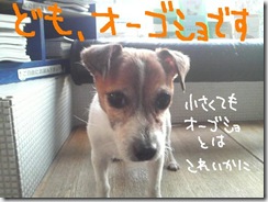 週カズ０９１２０８　３