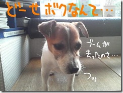 週カズ０９１２０８　４