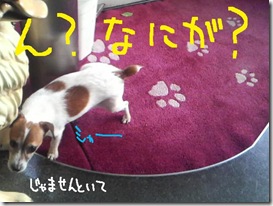 週カズ０９１２０８　５