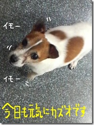 週カズ０９１２１５　１