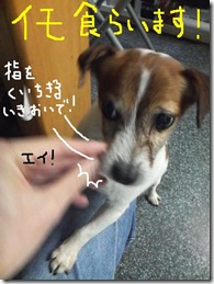 週カズ０９１２１５　２