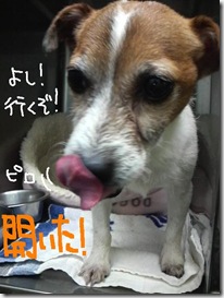週カズ１００１１０　２