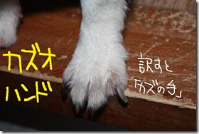 週カズ１００１１７　１