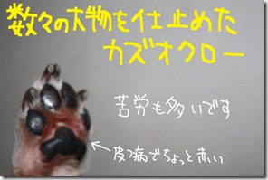 週カズ１００１１７　２