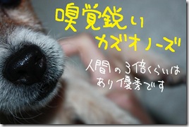 週カズ１００１１７　３