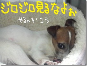 週カズ１００１２４　１