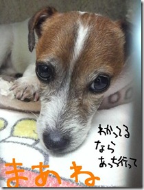 週カズ１００１２４　３