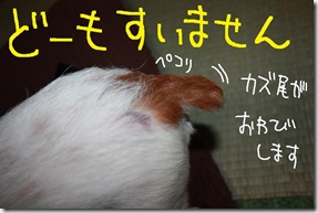 週カズ１００１３１　１